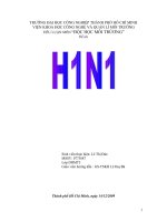 luận văn kỹ thuật môi trường Tiểu luận Virus cúm H1N1