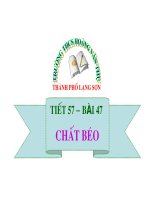 Bài 47. Tiêé 57. Chất béo
