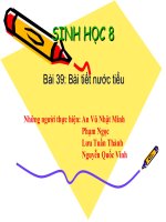 Bài 39. Bài tiết nước tiểu