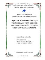 Hạn chế rủi ro thường gặp trong thanh toán quốc tế theo phương thức tín dụng chứng từ tại Sacombank  Võ Thị Thủy Tiên. - TP. HCM