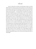 Đẩy mạnh hoạt động quảng cáo trực tuyến cho Công ty Cổ phần phát triển Thương Mại Trường Giang - Copy