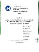 VAI TRÒ của NHÀ nước TRONG VIỆC PHÁT TRIỂN hệ THỐNG tài CHÍNH