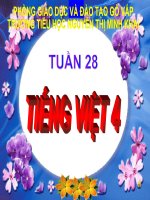 TĐ ON TUAN 28