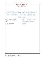 Nghiên cứu mô hình kinh tế lượng đánh giá chất lượng điện thoại viên 1080 tại đăk lăk