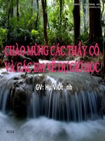 Lưu Huỳnh Đioxit và Lưu Huỳnh Trioxit