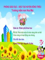 KPKH: Các bộ phận cơ thể