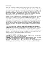 Phân tích TOWS hoạch định chiến lược của công ty TNHH KNIC