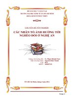 Các nhân tố ảnh hưởng tới nghèo đói ở Nghệ An  Chuyên đề tốt nghiệp  TP.HCM  Trường Đại Học Kinh Tế