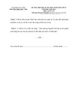 Đề thi chọn HSG Văn 10