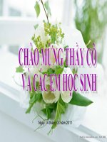 Bài 37. Sinh truong va phat trien o dong vat sinh hoc 11 nang cao