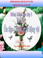 KH5, Bài Ôn tập thực vật và động vật