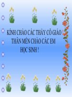 CHIẾC LƯỢC NGÀ ( TIẾT 72)