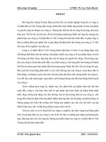 Giải pháp marketing nhằm mở rộng thị trường thép của công ty cổ phần đầu tư Việt Vương trên điạ bàn miền Bắc