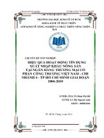 Hiệu quả hoạt động tín dụng xuất nhập khẩu nông sản tại Ngân hàng Thương mại Cổ phần Công thương Việt Nam chi nhánh 4 TP. Hồ Chí Minh giai đoạn 2006-2010