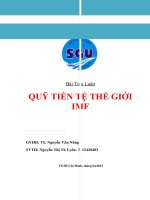 Tiểu luận: Quỹ Tiền Tệ Thế Giới IMF