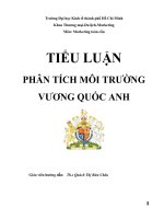 Tiểu luận phân tích môi trường Vương Quốc Anh -cơ hội và thách thức của Việt Nam khi xuất khảu hangf da giày vào Anh