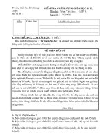 Đề thi tieng Viet lớp 4 GKII -2011