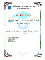 Tiểu luận Kỹ thuật phát hiện rò rỉ khí Hydrocarbon