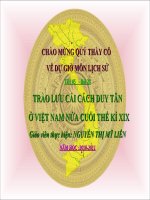 CẢI CÁCH DUY TÂN CUỐI THẾ KỶ XIX