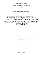 Ý tưởng sản phẩm nước giải khát trái cây từ quả điều cho dòng sản phẩm nước ép trái cây KITE JUICE