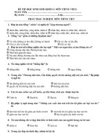 Đề thi HSG cấp Huyện khối 4