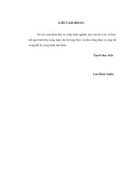 Nghiên cứu đề xuất các biện pháp kiểm soát ô nhiễm môi trường khu công nghiệp Thụy Vân, Việt Trì, Phú Thọ