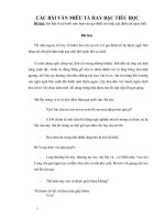 CÁC BÀI VĂN MIÊU TẢ HAY BẬC TIỂU HỌC