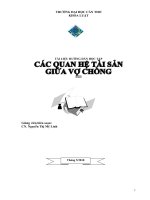 CÁC QUAN HỆ TÀI SẢN GIỮA VỢ CHỒNG
