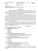 Đề thi giữa kỳ II Tiếng Việt 4