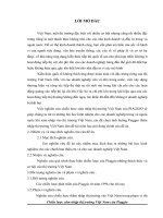 Chiến lược xâm nhập thị trường của Piaggio tại thị trường Việt Nam