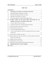 TỔ CHỨC CÔNG TÁC KẾ TOÁN PHÂN TÍCH KINH TẾ, TÀI CHÍNH TẠI CÔNG TY CỔ PHẦN UNME VIỆT