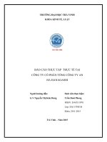 BÁO CÁO THỰC TẬP  THỰC TẾ TẠI CÔNG TY CỔ PHẦN TỔNG CÔNG TY AN HA HANAGASHI