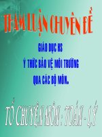 CHUYÊN ĐỀ BẢO VỆ MÔI TRƯỜNG TỔ TOÁN LÝ