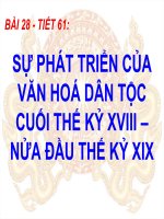 Sự phát triển của văn hóa dân tộc cuối thế kỉ XVIII – nửa đầu thế kỉ XIX