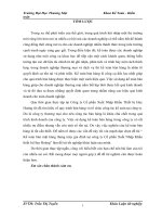 luận văn kế  toán thương mại Kế toán bán mặt hàng thang máy gia đình tại công ty Cổ phần Xuất Nhập Khẩu thiết bị Huy Hoàng