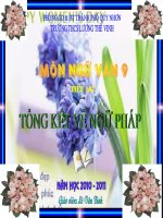 Văn 9_ tiết 147, Tổng kết về ngữ pháp