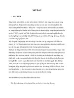 Báo cáo đánh giá tác động môi trường dự án gỗ