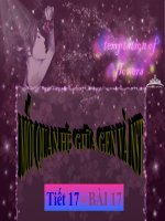 Bài 17-Tiết 17: Mối quan hệ giữa gen và NST