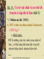 Bài 18 : Cơ sở vật chất và cơ chế di truyền ở cấp độ tế bào (tiết 1)