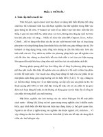 Nghiên cứu quang phổ học dao động tần số tổng từ đơn lớp Langmuir nButanol