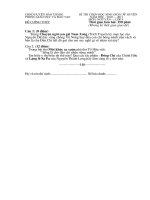 Đề thi hsg vòng huyện 2010-2011