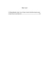 Giải pháp phát triển đại lý bảo hiểm chuyên nghiệp tại Tổng công ty Bảo hiểm PVI