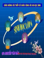 tiết 52.bài 42. Lớp hai lá mầm và lớp một lá mầm