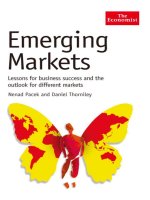 Emerging markets lessons for business success and the outlook for different markets