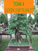 TOAN TUAN 27 LUYỆN TẬP