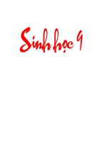 bai 13 di truyen lien ket