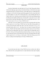 luận văn khoa quản trị doanh nghiệp Hoàn thiện công tác quản trị rủi ro của  Công ty TNHH Nam San