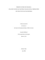 Thinking outside the triangle  collusion and rivalry between transnational corporations and the state in Batam, Indonesia