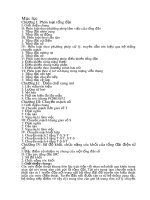 tiểu luận kỹ thuật điện điện tửTổng đài tự động điện tử số điều khiển theo chương trình lưu trữ SPC.