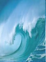 Video clip Sóng thần-Nỗi kinh hoàng của con người